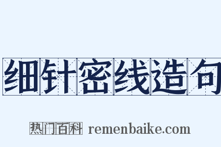 细针密线造句是什么意思的图片